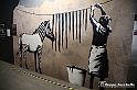 VBS_2357 - Mostra The World of Banksy - The Immersive Experience